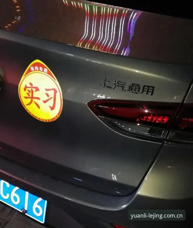 最新乐竟官网CN标帜登录教程 老司机手把手教你搞定乐竟官网CN标帜登录,这招我试了三个月才悟出来